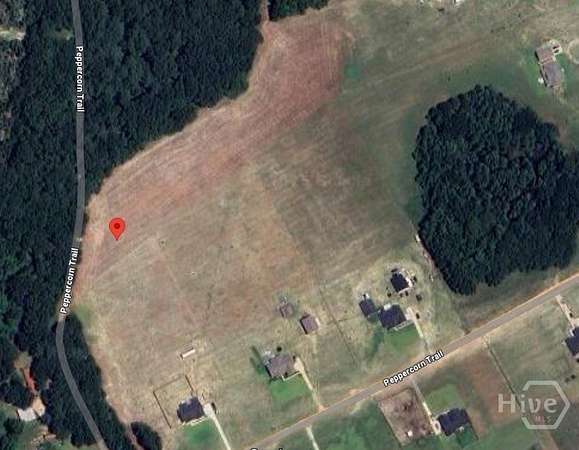 5.69 Acres of Residential Land for Sale in Pembroke, Georgia