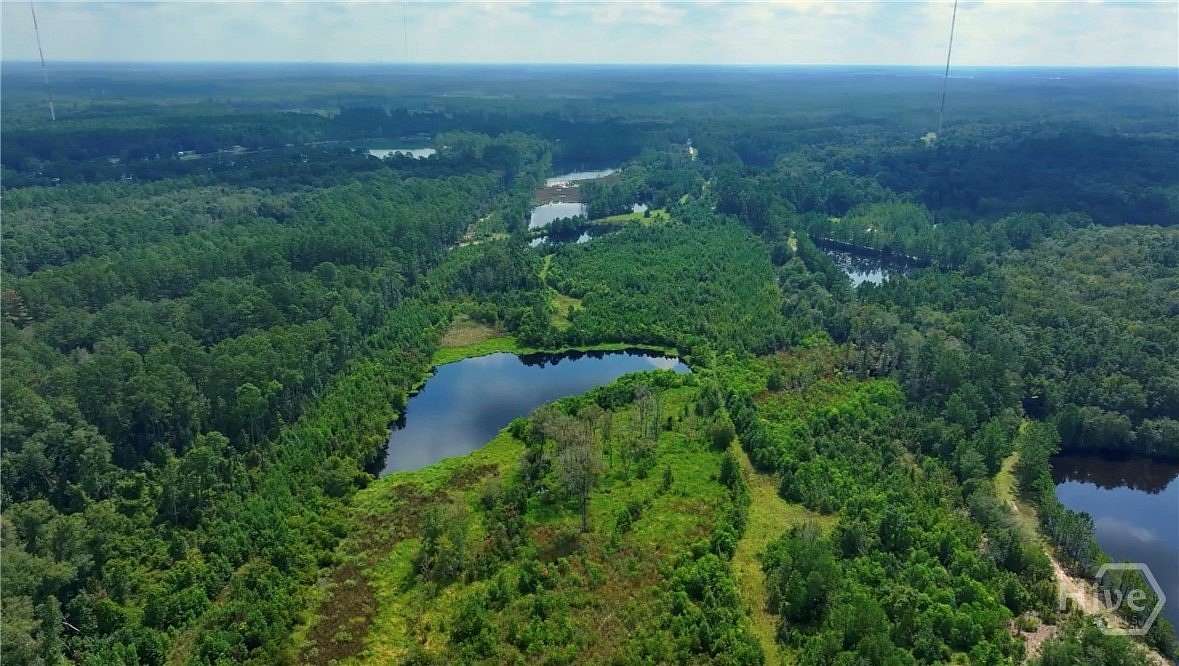 62.4 Acres of Recreational & Residential Land for Sale in Savannah, Georgia