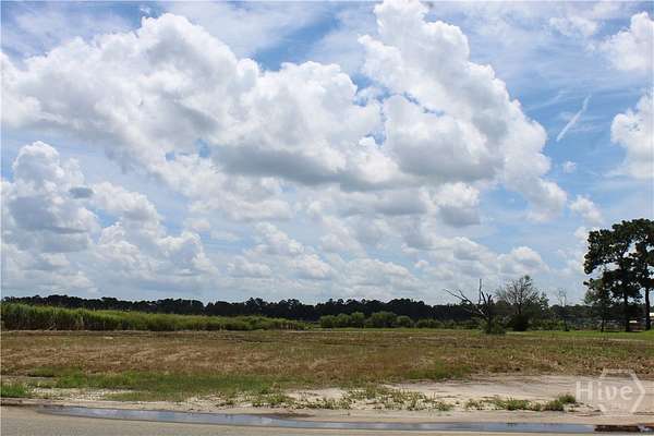 2 Acres of Residential Land for Sale in Midway, Georgia