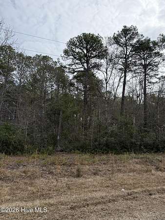 0.21 Acres of Residential Land for Sale in Ocean Isle Beach, North Carolina