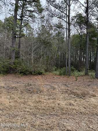 0.21 Acres of Residential Land for Sale in Ocean Isle Beach, North Carolina