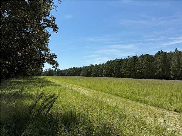 15 Acres of Land for Sale in Claxton, Georgia