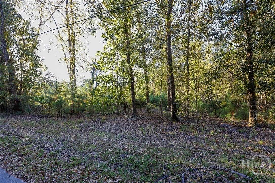 1 Acre of Land for Sale in Guyton, Georgia