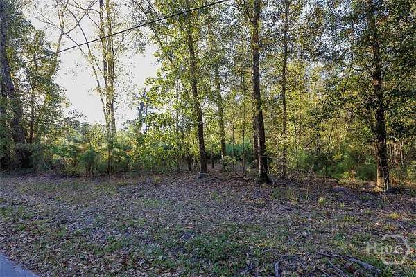 1 Acre of Land for Sale in Guyton, Georgia