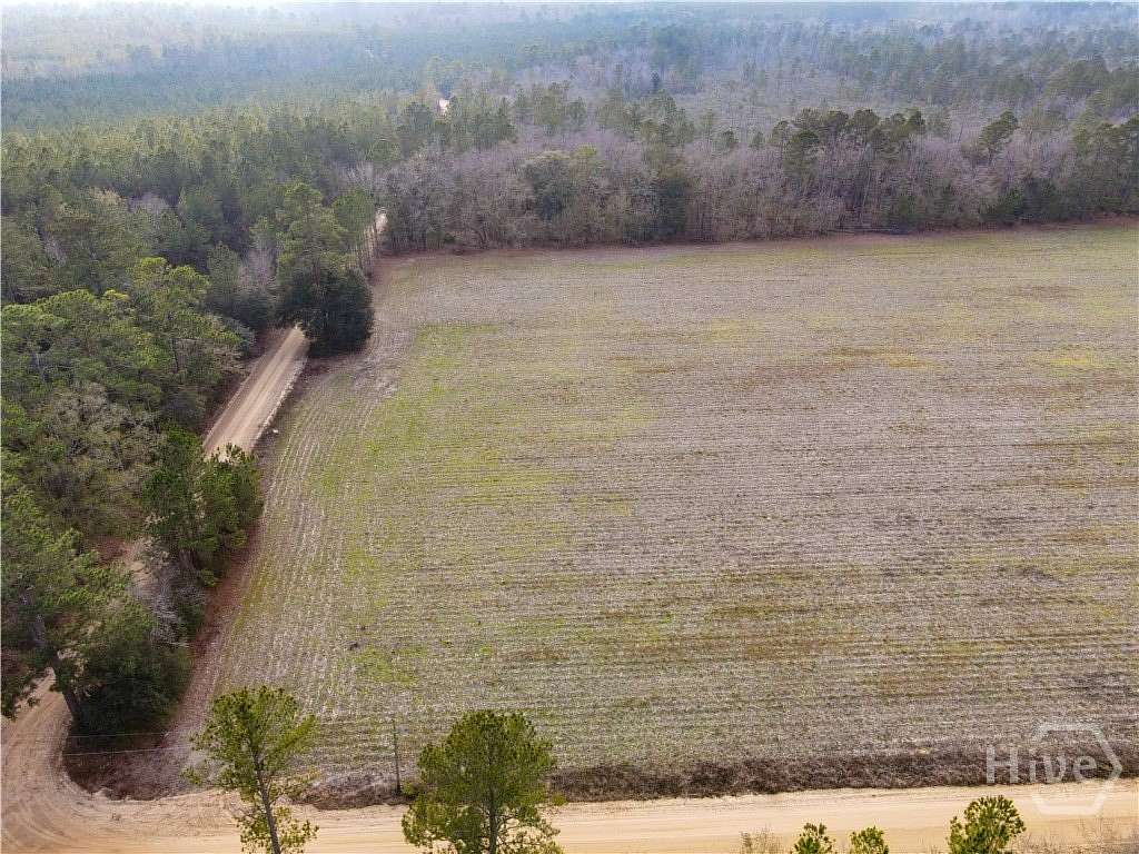 11.6 Acres of Land for Sale in Pembroke, Georgia