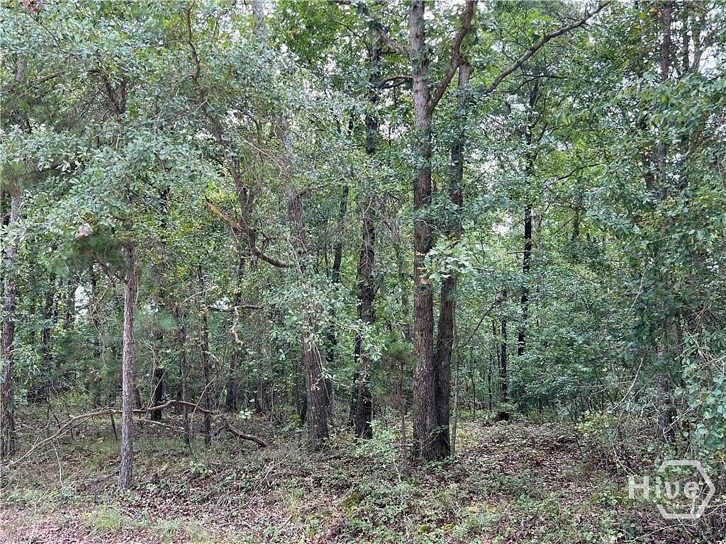 10 Acres of Recreational & Residential Land for Sale in Hull, Georgia