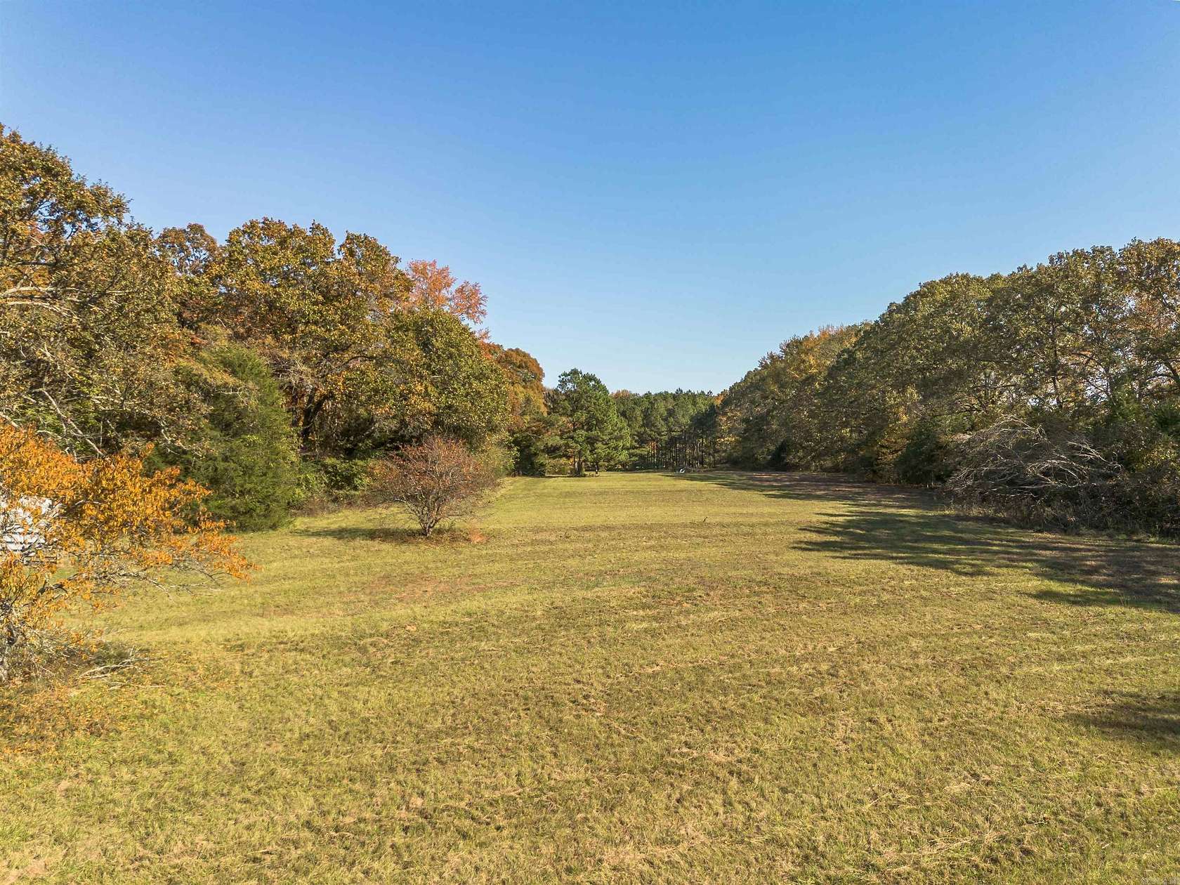 18.5 Acres of Land for Sale in Greenbrier, Arkansas