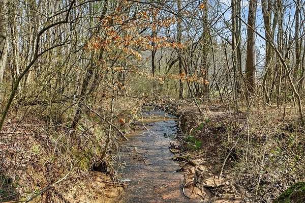 18 Acres of Land for Sale in Ellijay, Georgia