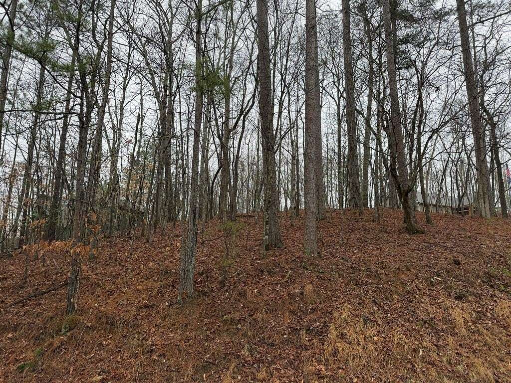 0.53 Acres of Residential Land for Sale in Ellijay, Georgia