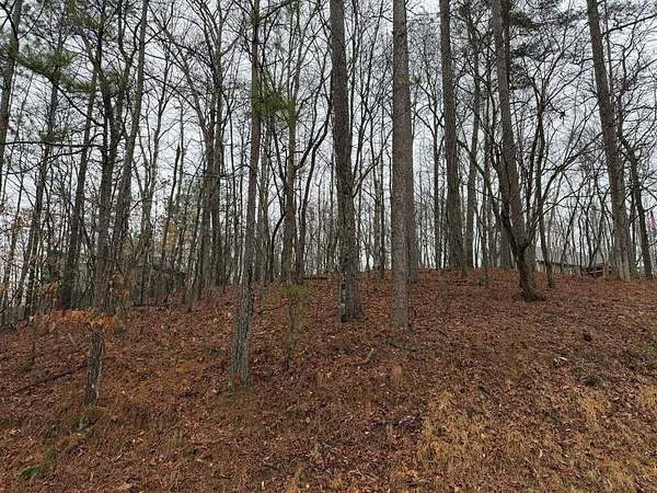 0.53 Acres of Residential Land for Sale in Ellijay, Georgia