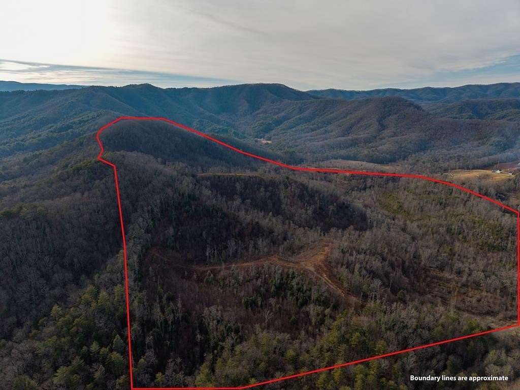 156 Acres of Recreational & Residential Land for Sale in Blue Ridge, Georgia