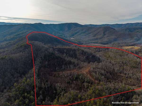 156 Acres of Recreational & Residential Land for Sale in Blue Ridge, Georgia