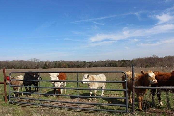 14.3 Acres of Land for Sale in Point, Texas