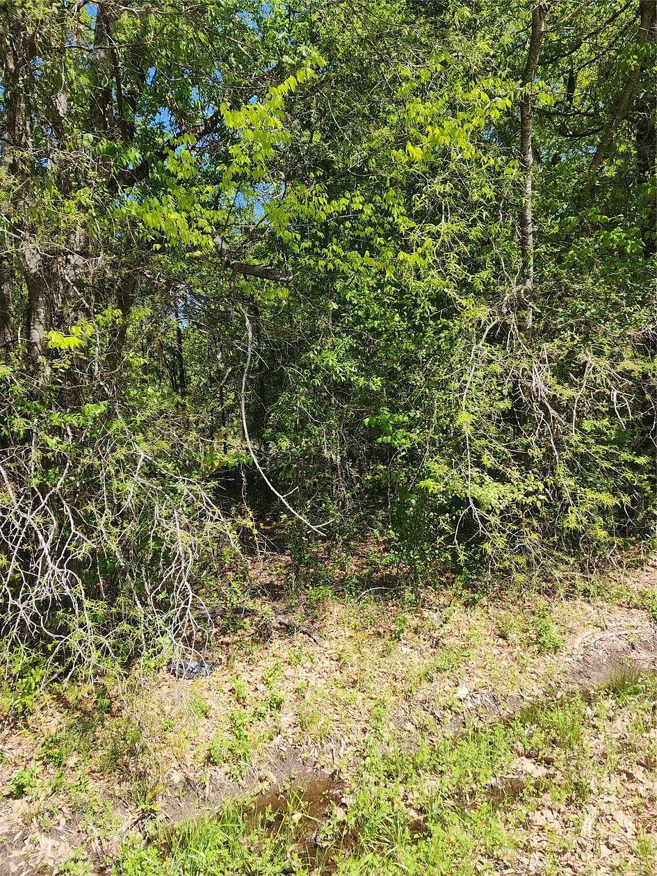 0.93 Acres of Residential Land for Sale in Mabank, Texas