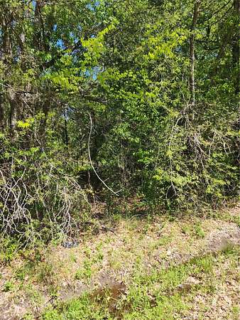 0.93 Acres of Residential Land for Sale in Mabank, Texas