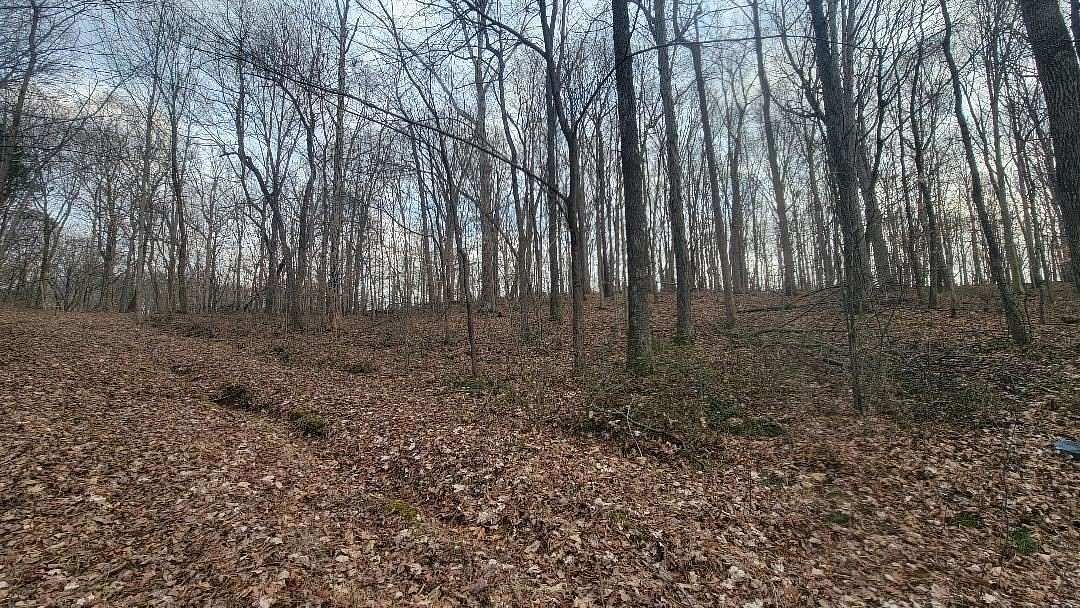 4.25 Acres of Residential Land for Sale in Morgantown, Kentucky