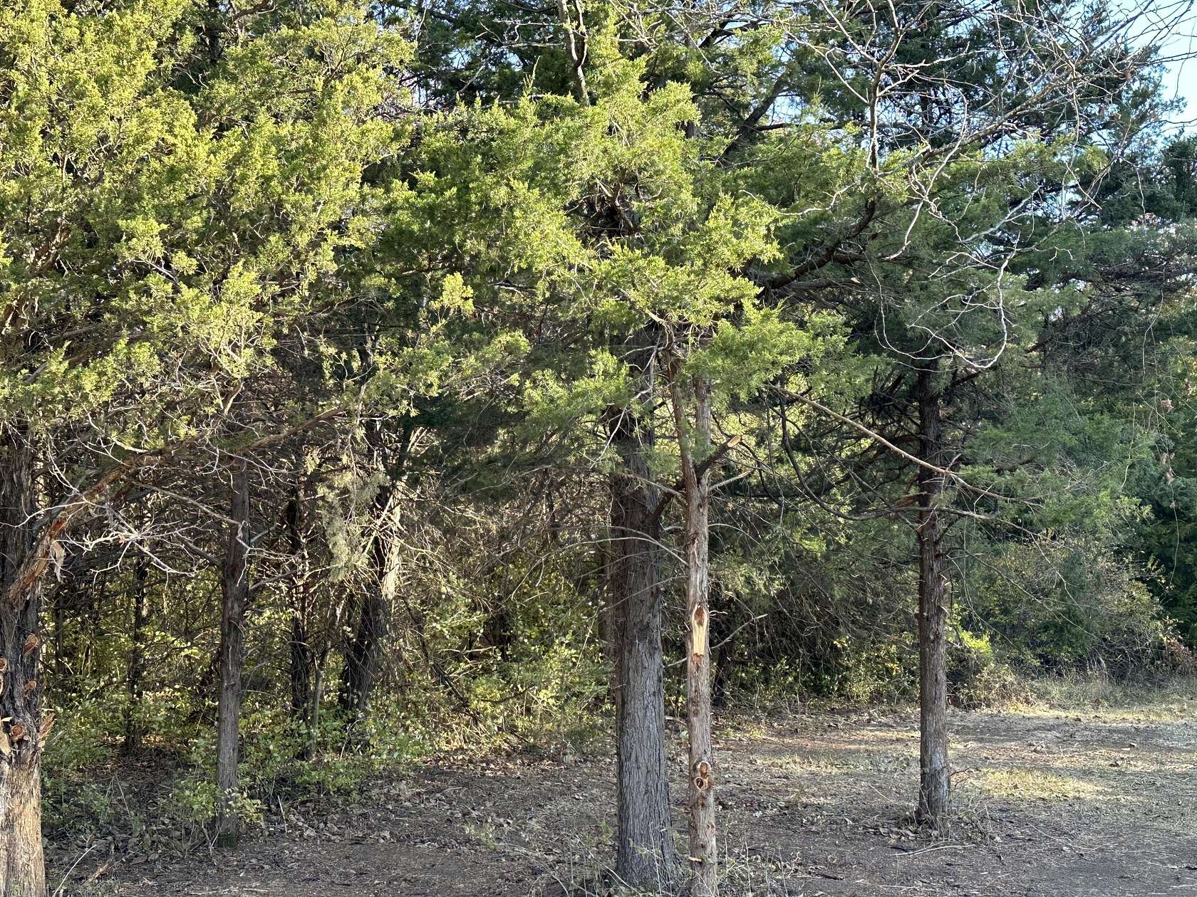 11.3 Acres of Land for Sale in Mexico, Missouri