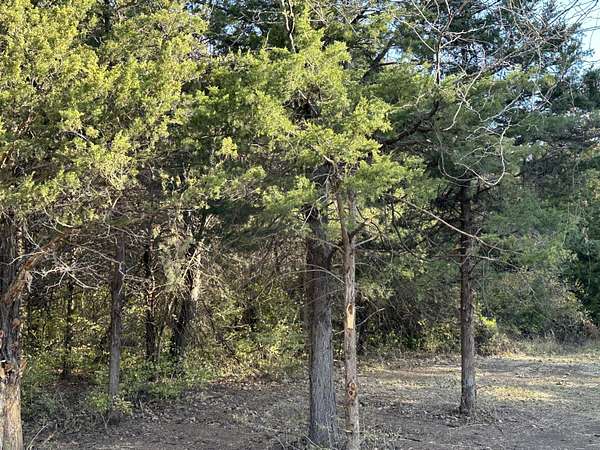 11.3 Acres of Land for Sale in Mexico, Missouri