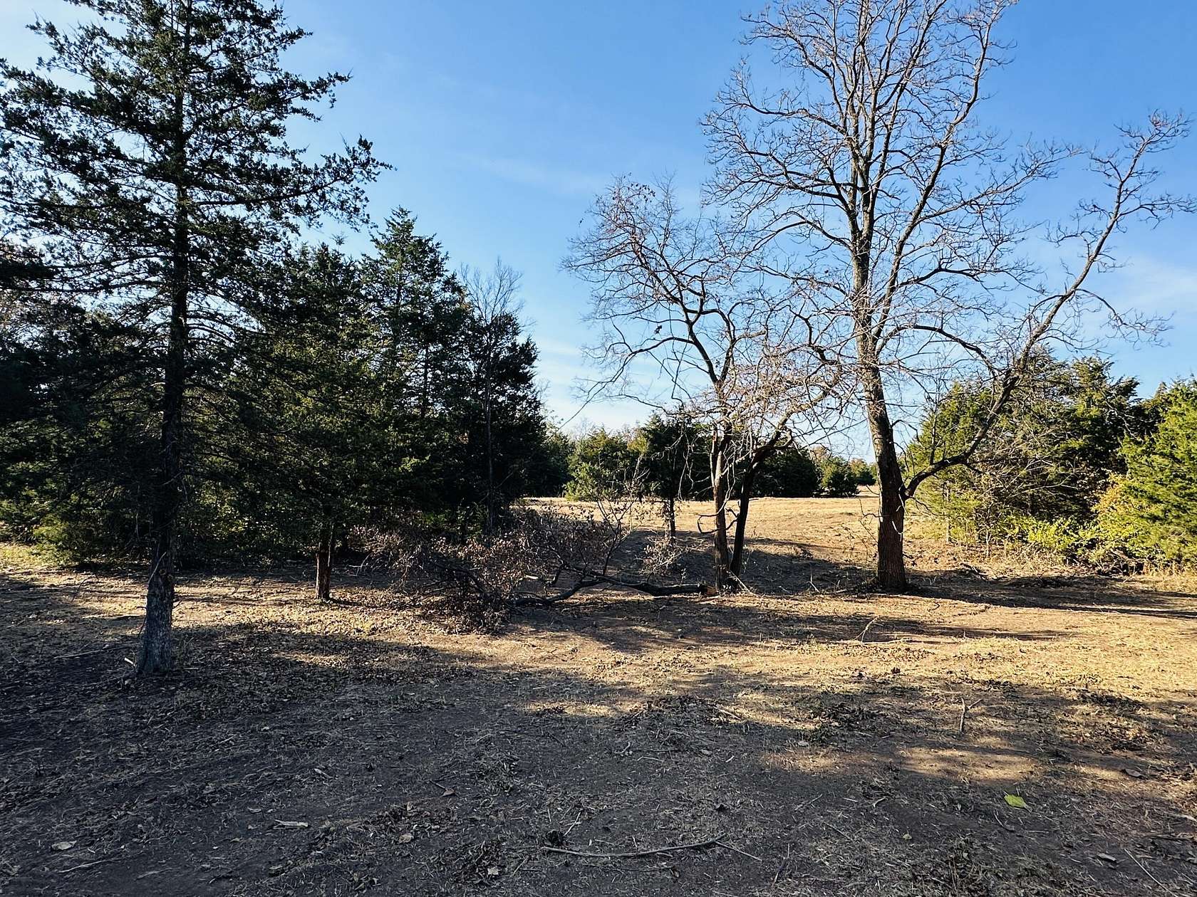 11.3 Acres of Land for Sale in Mexico, Missouri