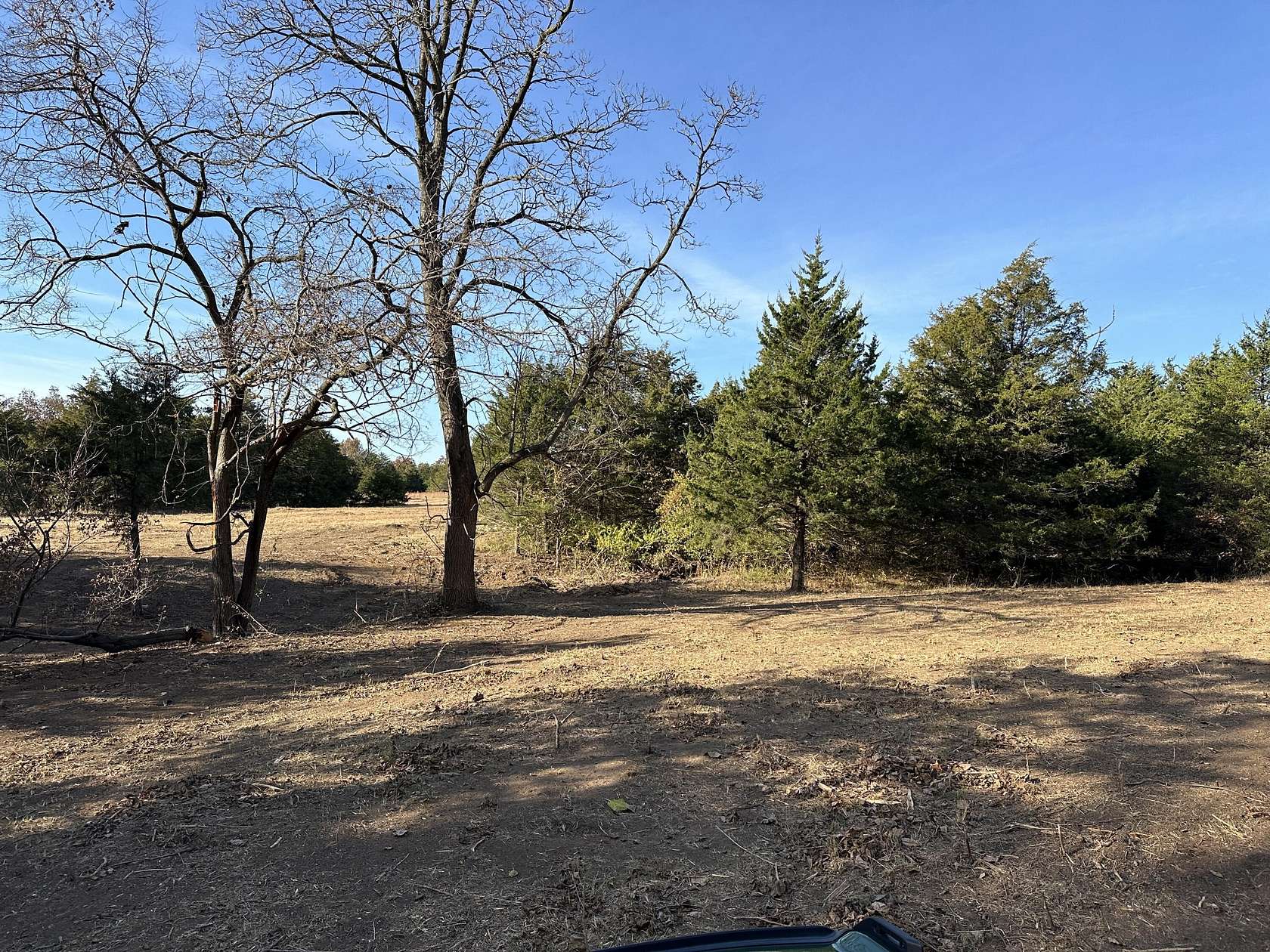 15.5 Acres of Land for Sale in Mexico, Missouri