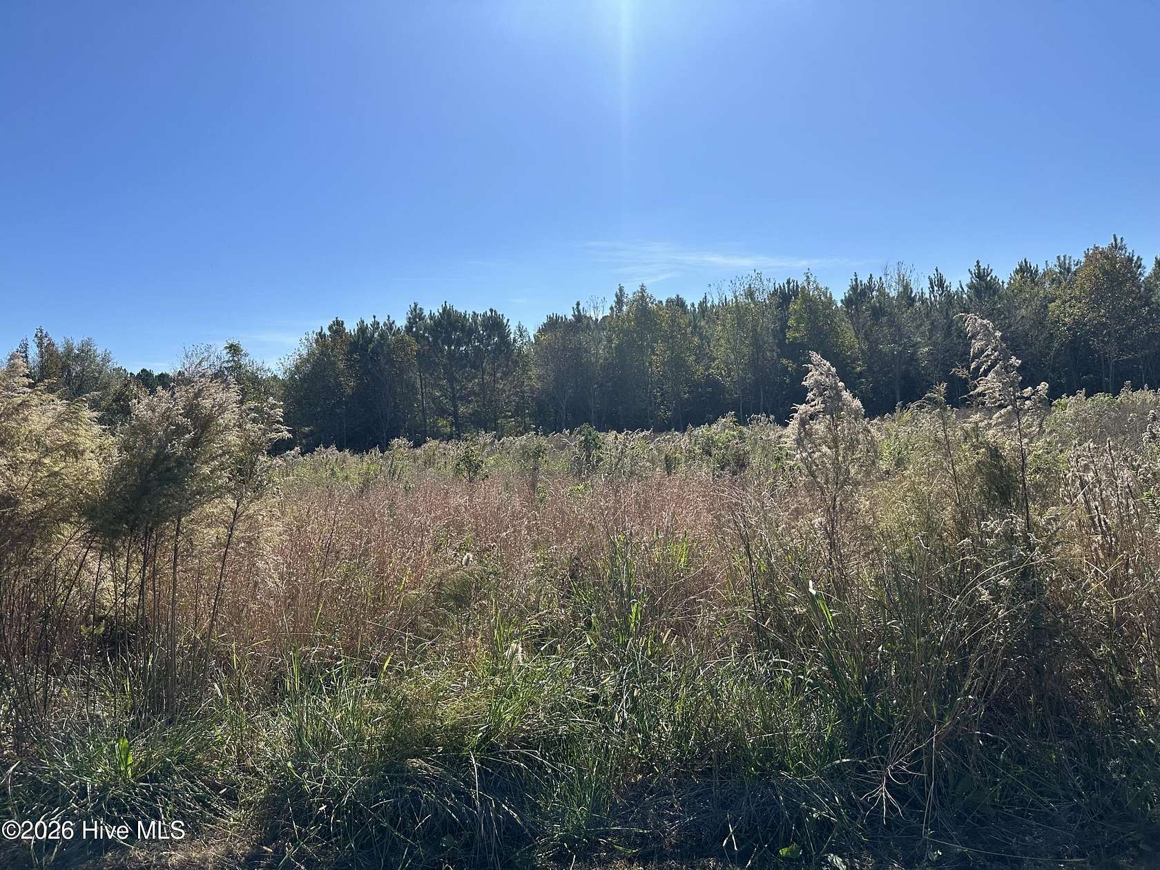 0.73 Acres of Residential Land for Sale in Clarendon, North Carolina