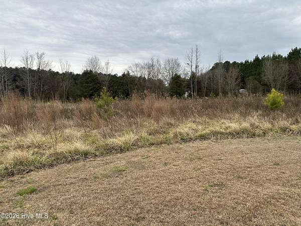 0.73 Acres of Residential Land for Sale in Clarendon, North Carolina
