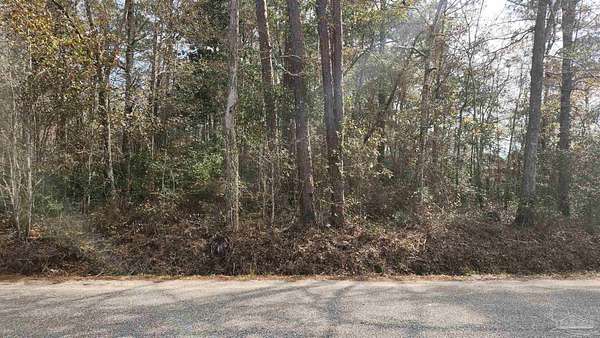 1 Acre of Residential Land for Sale in Milton, Florida