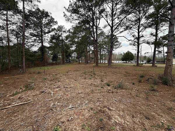 0.34 Acres of Residential Land for Sale in Kathleen, Georgia