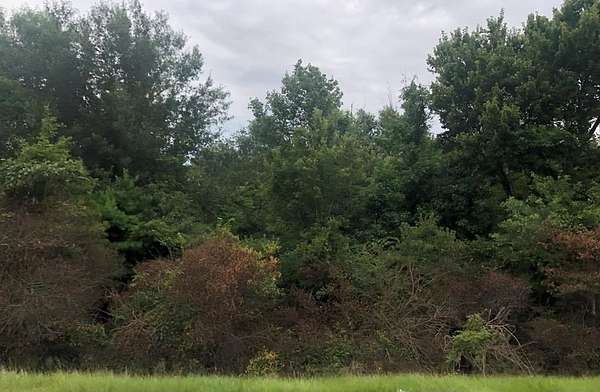 0.69 Acres of Residential Land for Sale in Pearl River, Mississippi