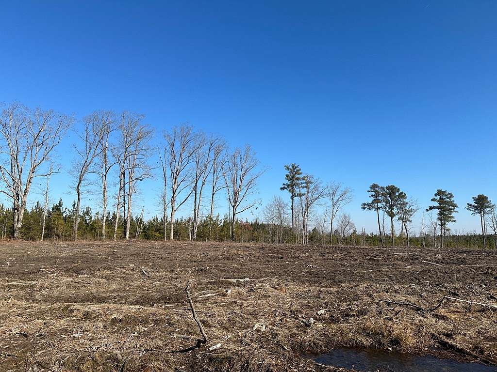 10 Acres of Land for Sale in Dolphin, Virginia