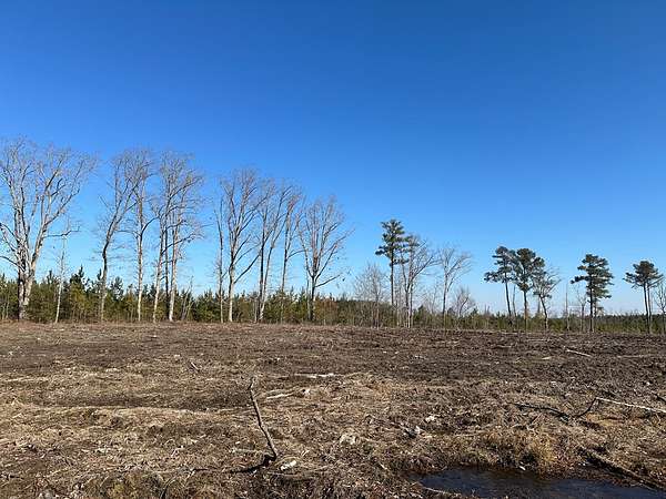 10 Acres of Land for Sale in Dolphin, Virginia