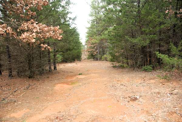 47.9 Acres of Land for Sale in Tyler, Texas