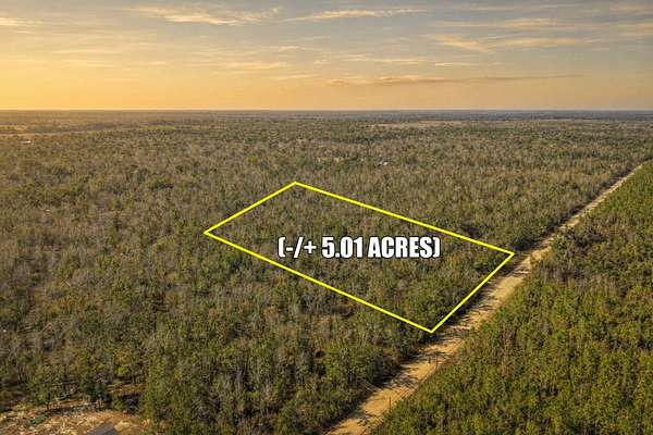 5 Acres of Land for Sale in Lee, Florida