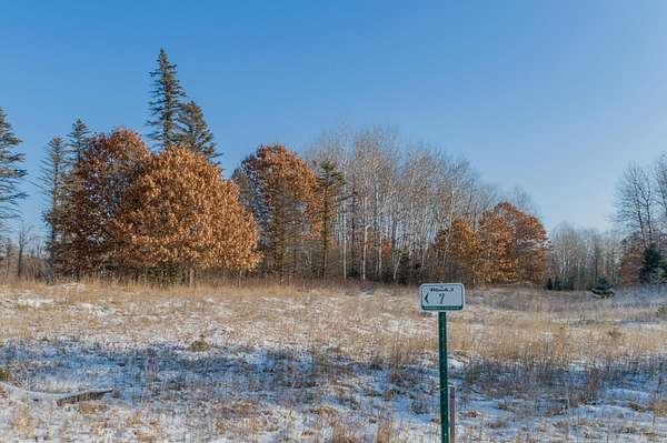 0.79 Acres of Land for Sale in Zimmerman, Minnesota