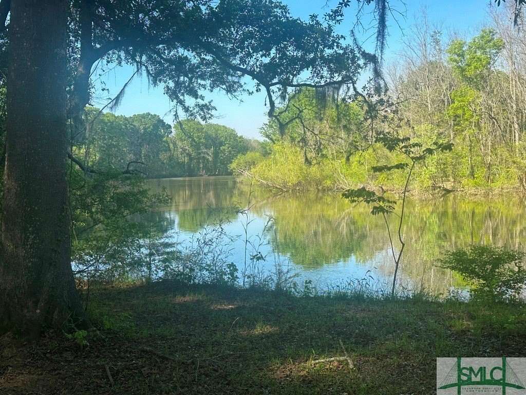 50 Acres of Recreational & Residential Land for Sale in Sylvania, Georgia