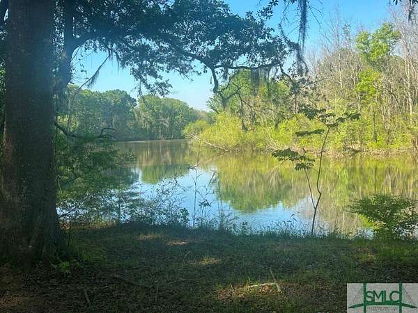 50 Acres of Recreational & Residential Land for Sale in Sylvania, Georgia