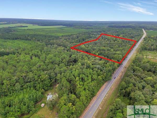 18.9 Acres of Land for Sale in Pembroke, Georgia