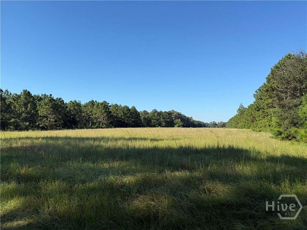 15.1 Acres of Land for Sale in Claxton, Georgia