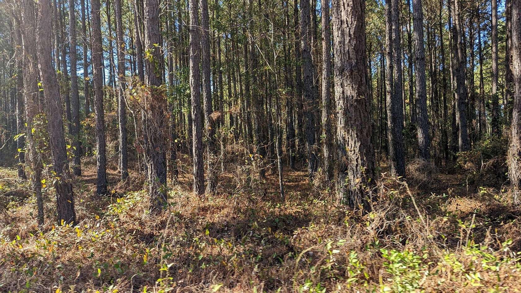 5.49 Acres of Land for Sale in Keysville, Georgia