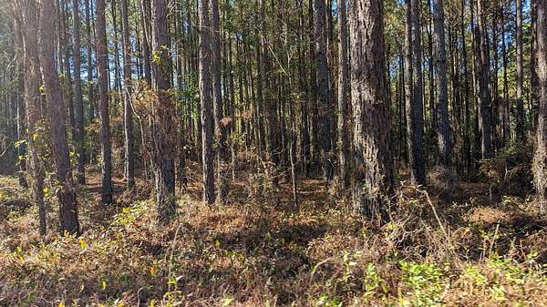 5.49 Acres of Land for Sale in Keysville, Georgia