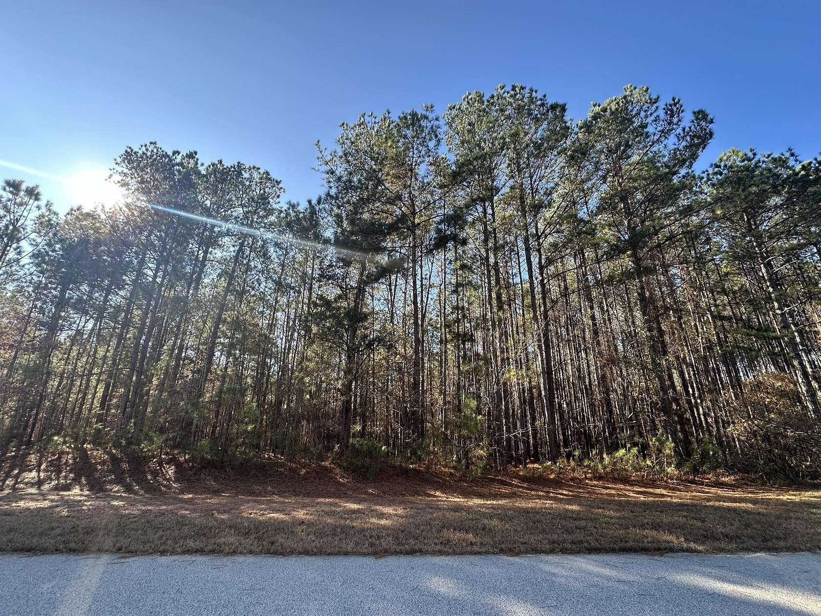 1.86 Acres of Residential Land for Sale in Tignall, Georgia