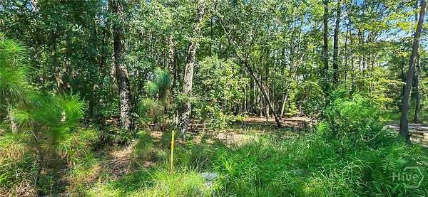 9.16 Acres of Residential Land for Sale in Guyton, Georgia