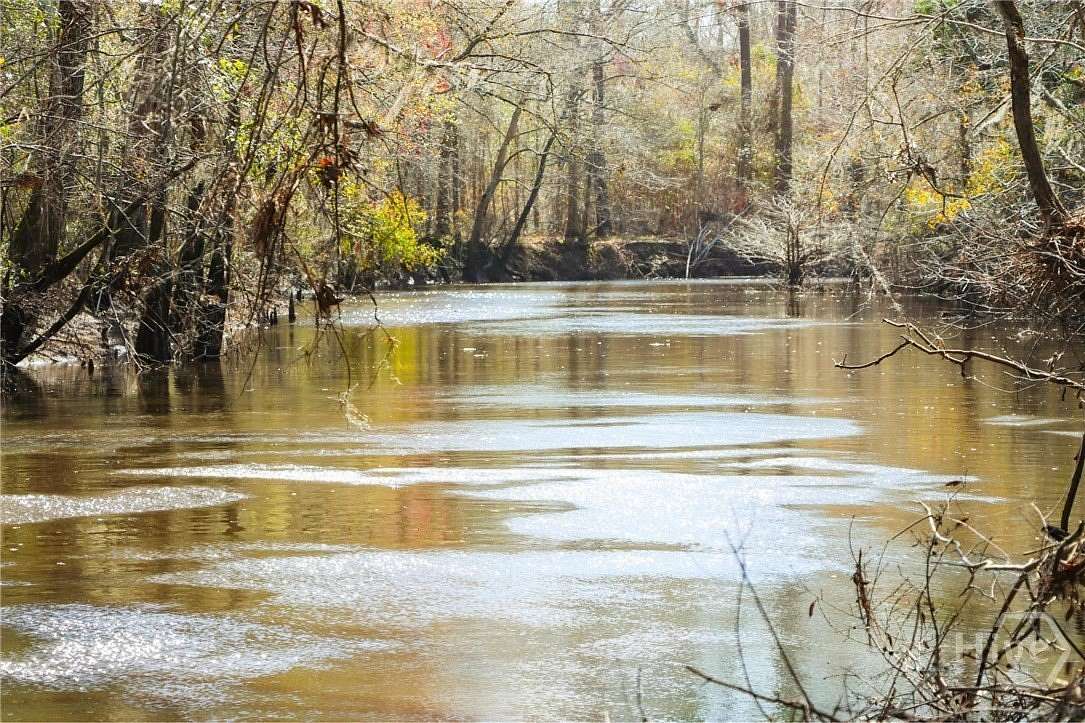 146 Acres of Recreational & Residential Land for Sale in Claxton, Georgia