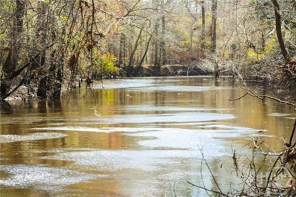 146 Acres of Recreational & Residential Land for Sale in Claxton, Georgia