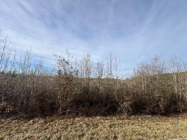 5.22 Acres of Residential Land for Sale in Lincolnton, Georgia