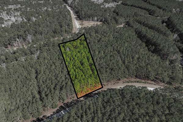 2 Acres of Land for Sale in Tignall, Georgia