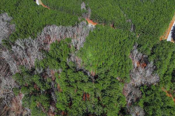 2 Acres of Land for Sale in Tignall, Georgia