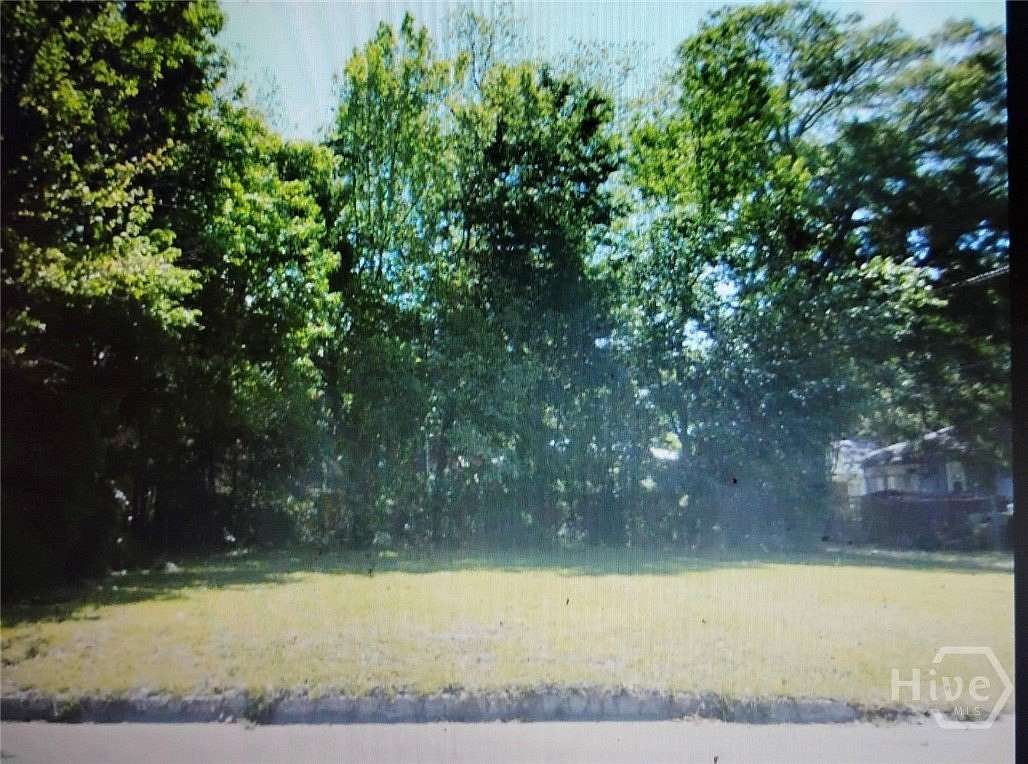 0.11 Acres of Land for Sale in Savannah, Georgia