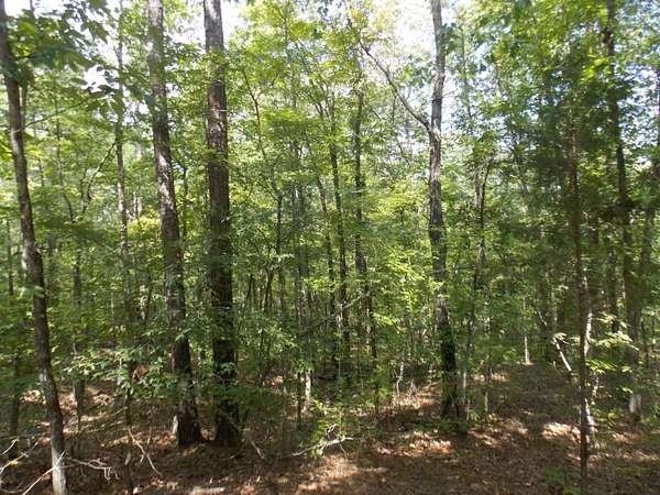 0.46 Acres of Land for Sale in Lincolnton, Georgia