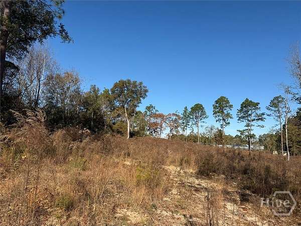 0.81 Acres of Residential Land for Sale in Statesboro, Georgia
